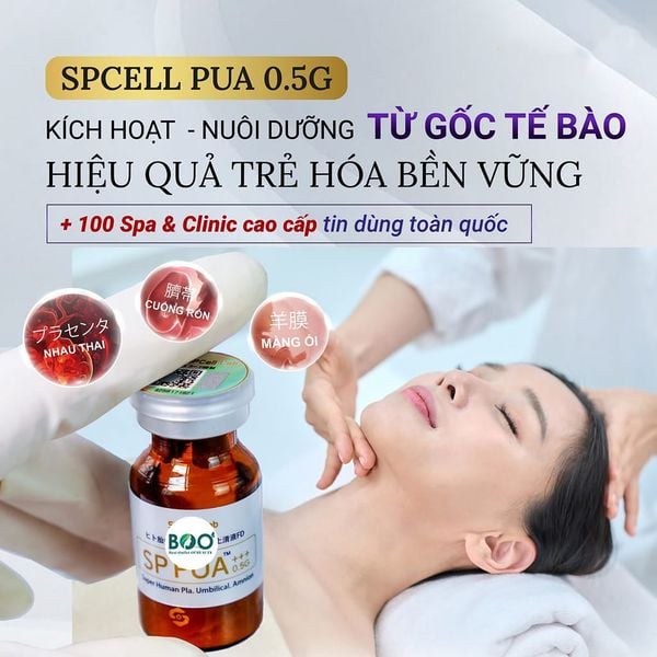 Thành phần gồm tế bào gốc từ nhau thai, cuống rốn và màng ối.