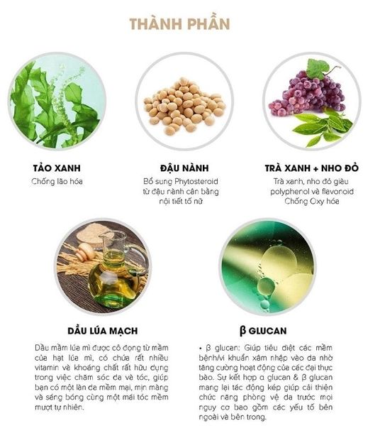 Thành phần tảo xanh và peptide hỗ trợ chống lão hóa