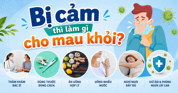 Bị Cảm Nên Làm Gì Cho Nhanh Khỏi? Tổng Hợp Cách Điều Trị Hiệu Quả Tại Nhà