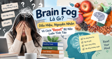 Brain Fog Là Gì? Dấu Hiệu, Nguyên Nhân Và Cách 