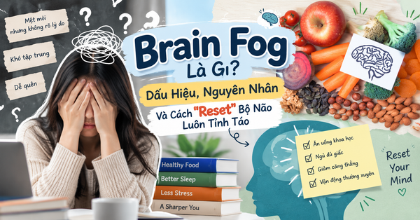 Brain Fog Là Gì? Dấu Hiệu, Nguyên Nhân Và Cách 
