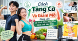 Cách Tăng Cơ Và Giảm Mỡ Cùng Lúc: Lộ Trình Khoa Học Cho Hình Thể Săn Chắc