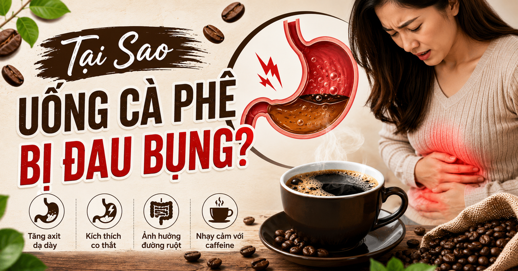 Tại Sao Uống Cà Phê Bị Đau Bụng? Giải Mã Nguyên Nhân Và Cách Thưởng Thức An Toàn