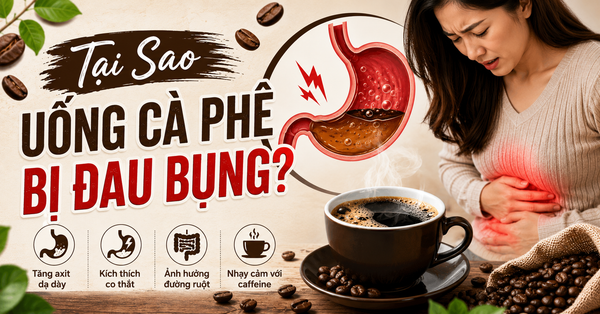 Tại Sao Uống Cà Phê Bị Đau Bụng? Giải Mã Nguyên Nhân Và Cách Thưởng Thức An Toàn