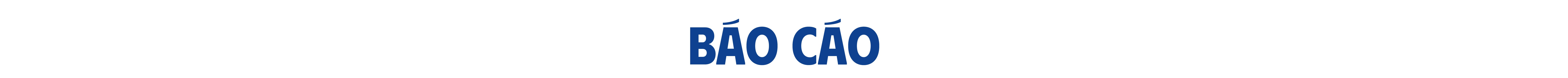 Báo cáo