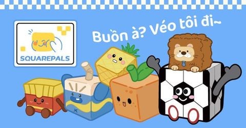 Squarepals Là Gì? Xả Stress Cùng Thú Bông Khối Vuông Tại nShop