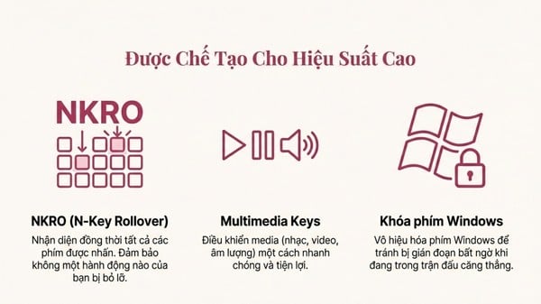 nShop bán Bàn phím cơ không dây AKKO 5075 V3 Prunus Lannesiana - Akko Piano có nhiều tính năng hỗ trợ tiện lợi