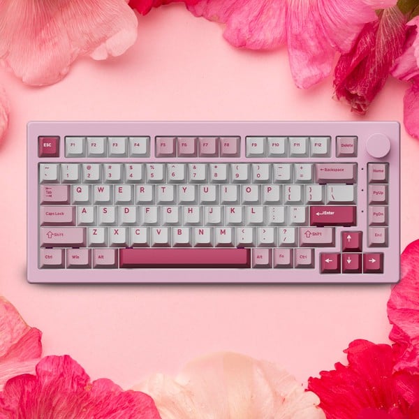 nShop bán Bàn phím cơ AKKO 5075 V3 Prunus Lannesiana - Akko Piano làm quà tặng người thích phụ kiện màu hồng
