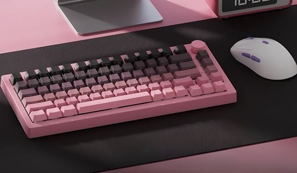 Veekos Black & Pink Gradient PBT Double-Shot / Cherry profile / 135 nút  các ký tự in bên hông tỏa sáng