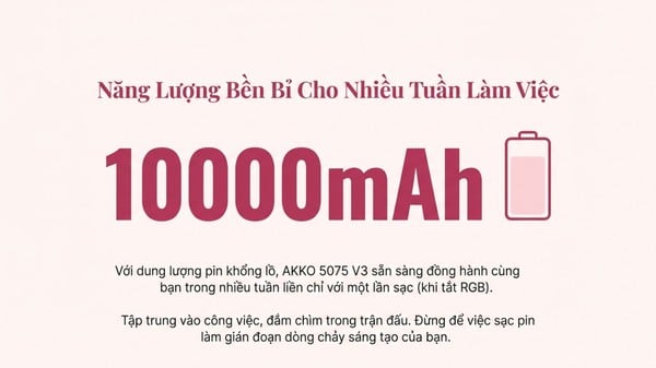 nShop bán Bàn phím cơ không dây AKKO 5075 V3 Prunus Lannesiana - Akko Piano pin sạc dung lượng cao giá tốt