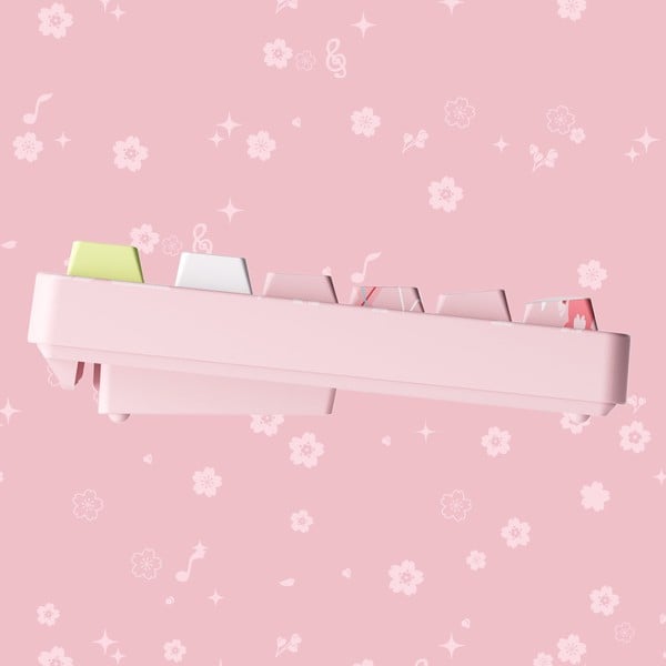 nShop bán bàn phím cơ AKKO 5108B Plus Sakura Miku Piano Pro Switch có thể chỉnh độ cao thoải mái