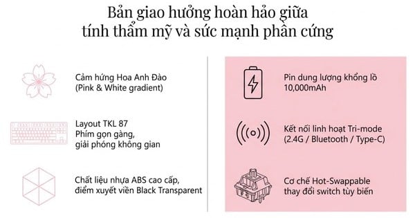nShop bán Bàn phím cơ không dây AKKO 5087 V3 Prunus Lannesiana giao nhanh trong ngày giá tốt