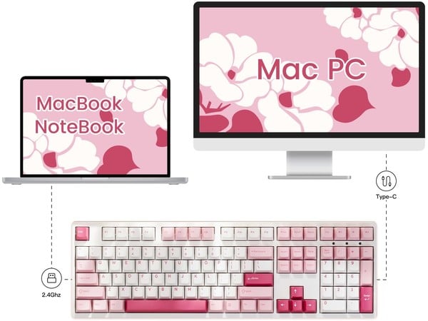 nShop bán AKKO 3108 RF V3 Prunus Lannesiana Frost Pink Switch kết nối được iPad iPhone Macbook Windows