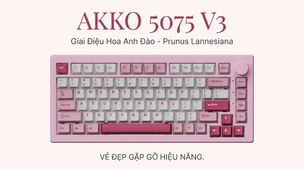 nShop bán Bàn phím cơ AKKO 5075 V3 Prunus Lannesiana - Akko Piano làm quà tặng nữ nhân viên văn phòng IT Coder
