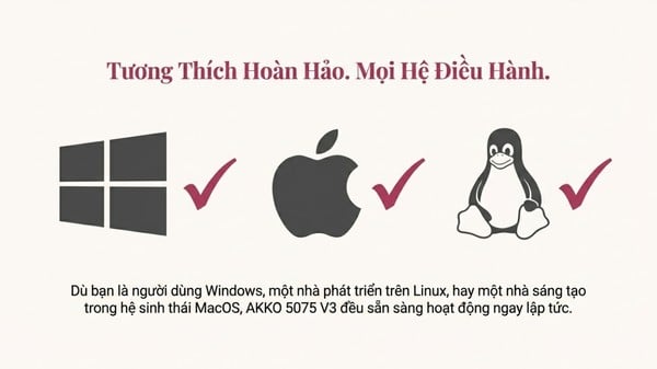 nShop bán Bàn phím cơ không dây AKKO 5075 V3 Prunus Lannesiana - Akko Piano hỗ trợ Windows MacOS Linux