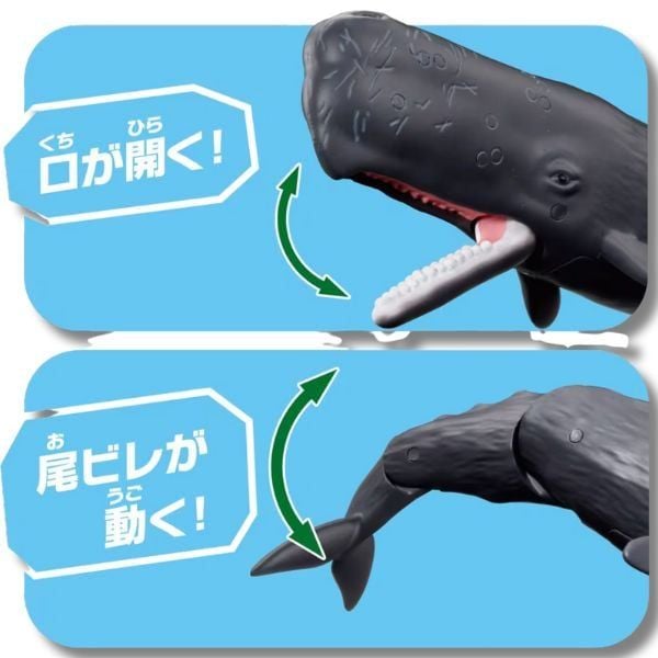 ANIA Cá Nhà Táng kích thước vừa tay, dễ cầm nắm cho bé.