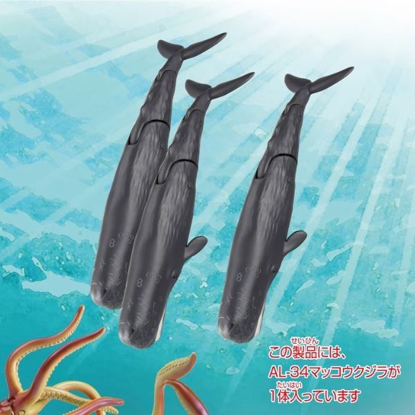 Mô hình động vật biển Cá Nhà Táng Takara Tomy cao cấp.