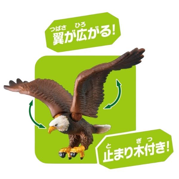 Figure ANIA Đại Bàng Đầu Trắng – biểu tượng sức mạnh và tự do