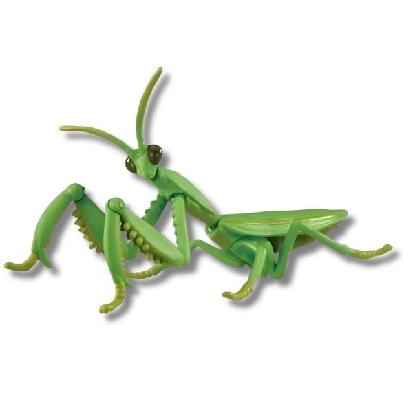 Đồ chơi ANIA Japanese Giant Mantis mô phỏng bọ ngựa thật