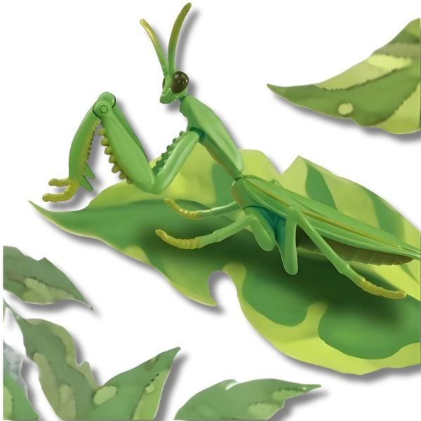 Bọ ngựa ANIA Nhật Bản – mô hình động vật siêu chân thực