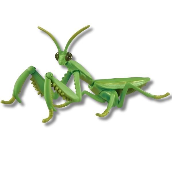 Mô hình bọ ngựa ANIA với khớp cử động linh hoạt