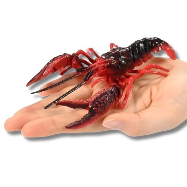 “Món tôm hùm đất kiểu Mỹ: kết hợp xúc xích, bắp mỹ, khoai bi trong một khay sốt cay đậm đà”