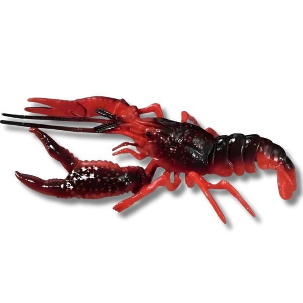 “Một đĩa tôm hùm đất đã luộc chín, kết hợp khoai tây và ngô mỹ, hấp dẫn với màu sắc rực rỡ”