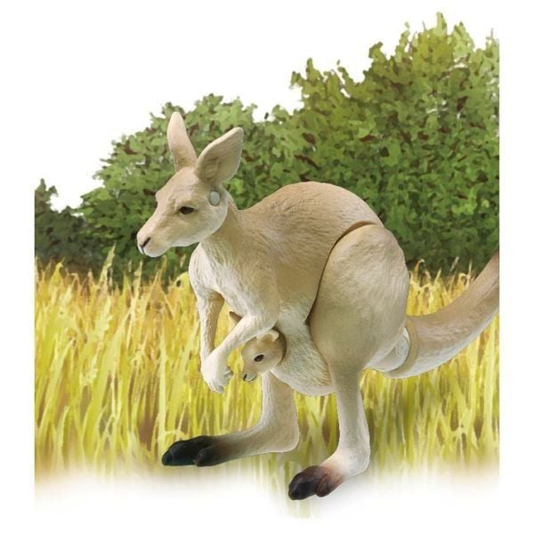 Ania AS-21 Kangaroo - Chuột Túi Tái Hiện Chi Tiết Thế Giới Động Vật