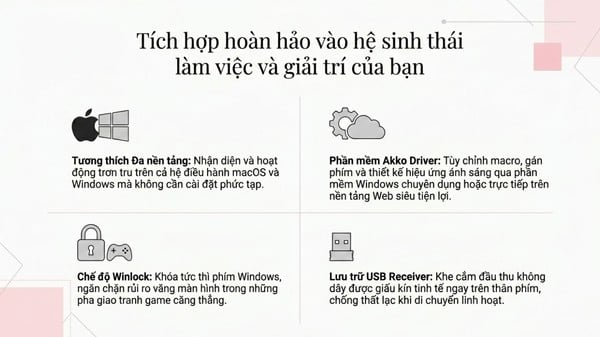 nShop bán Bàn phím cơ không dây AKKO 5087 V3 Prunus Lannesiana làm quà tặng nữ nhân viên văn phòng IT