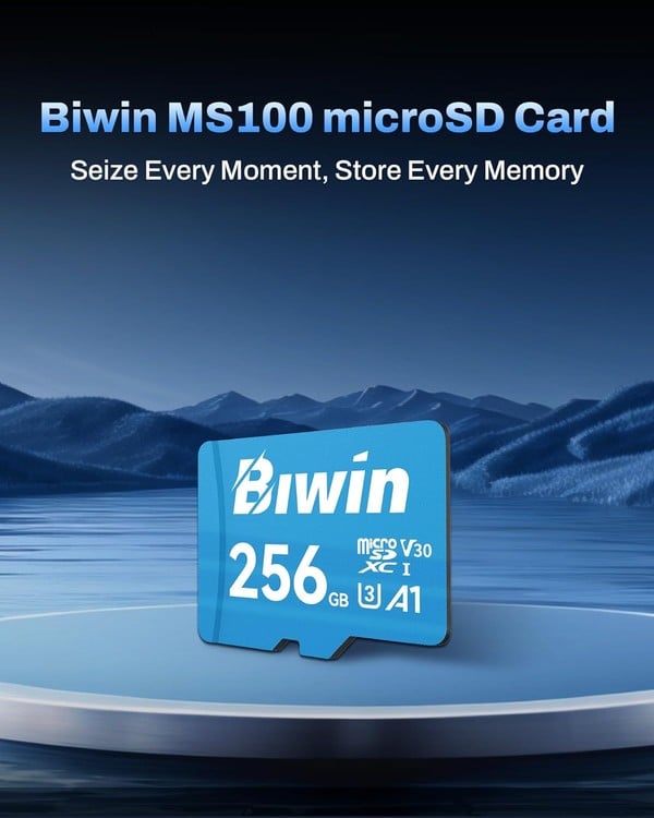 nShop bán thẻ nhớ MicroSD Biwin 256GB MS100 cho Nintendo Switch hỗ trợ lưu trữ game phim hình ảnh tài liệu