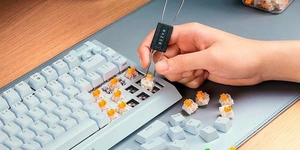 Bo mạch hotswap thay switch của Razer BlackWidow V4 75% White nShop