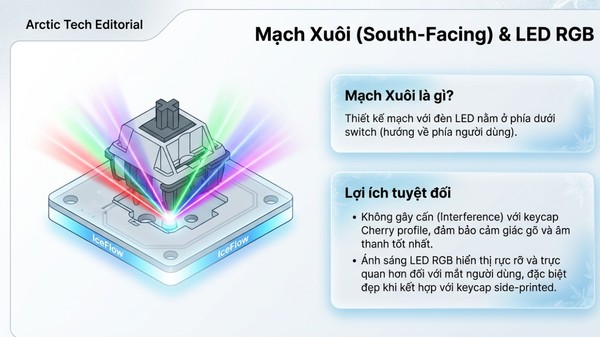 nShop bán Bàn phím cơ AKKO 5075 V3 IceFlow hỗ trợ đèn LED RGB tùy chỉnh nhiều chế độ sáng