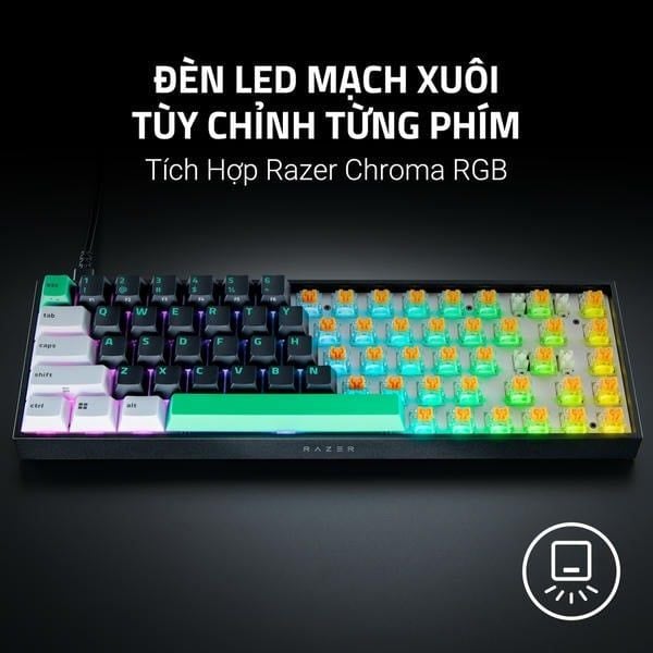 Đèn LED mạch xuôi tùy chỉnh từng phím Razer Reclusa X Mini nShop