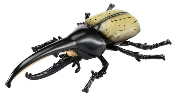 review mô hình côn trùng ANIA AS-38 Hercules Beetle Bọ Cánh Cứng Lực Sĩ