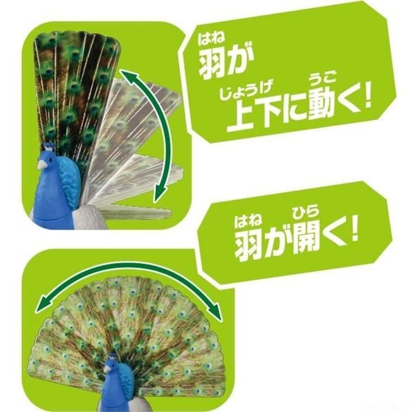 giao hàng ship cod ANIA AS-16 Peacock Chim Công toàn quốc