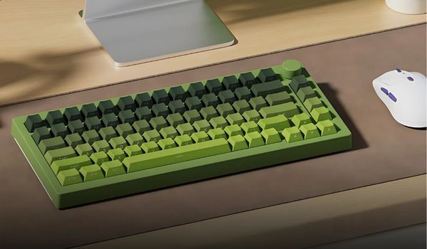 Veekos Forest Gradient PBT Double-Shot / Cherry profile / 135 nút  các ký tự in bên hông tỏa sáng