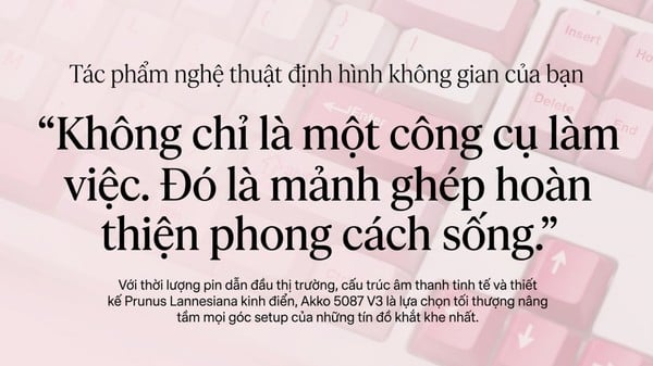 nShop bán Bàn phím cơ không dây AKKO 5087 V3 Prunus Lannesiana pin sạc dung lượng cao nhỏ gọn