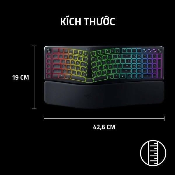 Kích thước bàn phím Razer Pro Type Ergo nShop