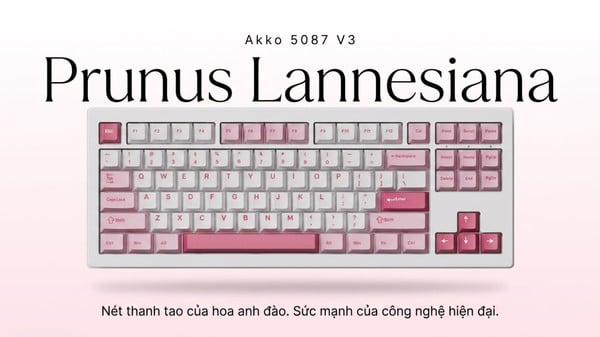 nShop bán Bàn phím cơ không dây AKKO 5087 V3 Prunus Lannesiana giao nhanh tận nhà toàn quốc giá tốt