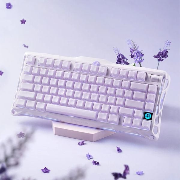 hướng dẫn sử dụng Bàn phím cơ GravaStar Mercury K1 75% Wireless Special Edition Lavender Purple