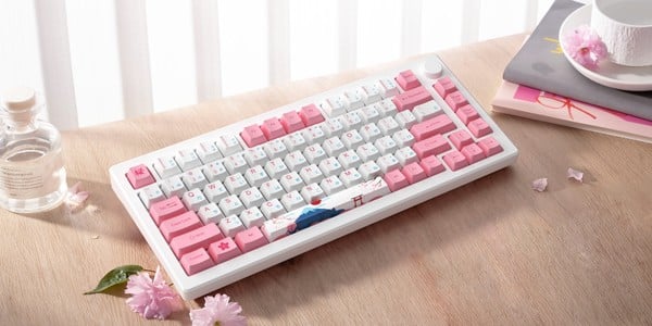 nShop bán AKKO MOD007B-HE PC Tokyo Sakura Pink Magnetic Switch làm quà tặng nữ game thủ streamer