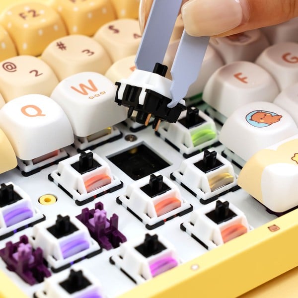 nShop bán Bàn phím cơ AKKO 5108B Plus Yier and Bubu 3 Mode hỗ trợ thay Switch 5 pin 3 pin Hot Swappable