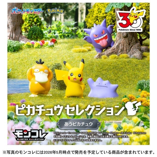 nShop bán Mô hình Pokemon 30th Anniversary Moncolle Meeting Pikachu ship hỏa tốc 1 tiếng giao nhanh giá tốt
