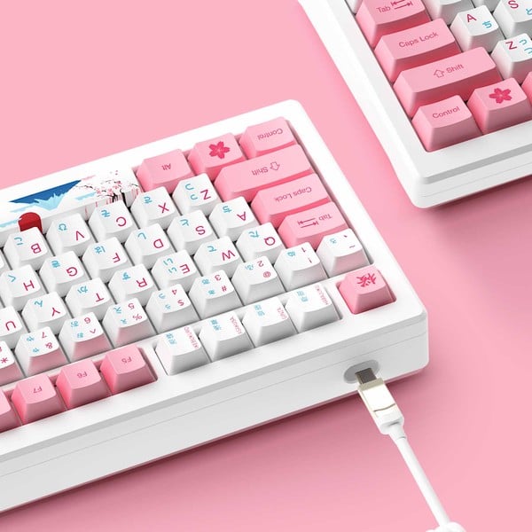 nShop bán AKKO MOD007B-HE PC Tokyo Sakura Pink Magnetic Switch có dây tháo rời dễ dàng mang theo ra ngoài