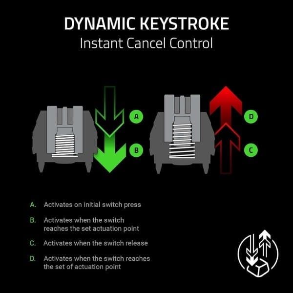 Tính năng Dynamic Keystroke trên Razer Huntsman V3 HE TKL nShop