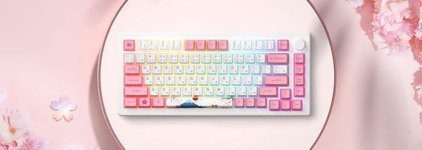 nShop bán AKKO MOD007B-HE PC Tokyo Sakura Pink Magnetic Switch làm quà tặng nữ nhân viên văn phòng