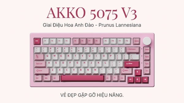 nShop bán Bàn phím cơ AKKO 5075 V3 Prunus Lannesiana - Akko Piano giao nhanh tận nhà toàn quốc giá tốt