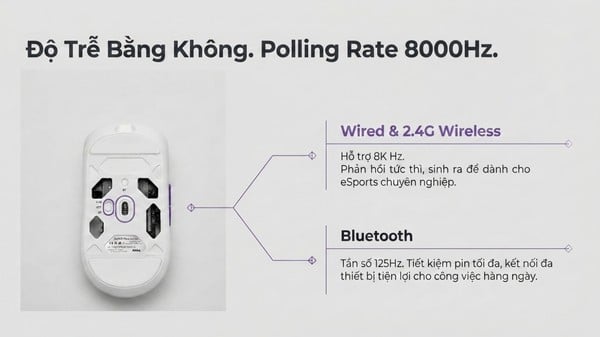 Chuột gaming không dây AKKO Dash V9 Max có polling rate 8000Hz