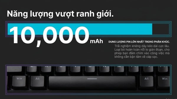 nShop bán Bàn phím cơ không dây AKKO 5087 V3 Black Transparent xuất được hóa đơn đỏ VAT giá tốt