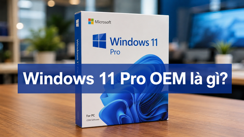 Windows 11 Pro OEM là gì? Khi nào doanh nghiệp nên chọn máy tính có sẵn bản quyền?